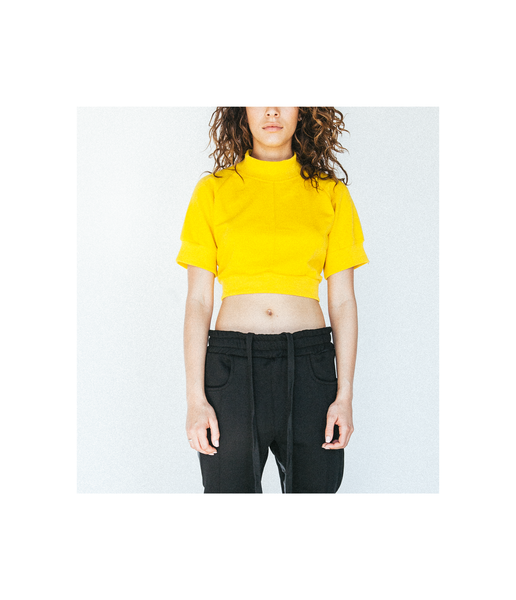 Ribbed Crop Top Crewneck in Dandelion